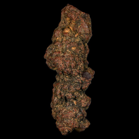 3.3" Prehistoric Coprolite Fossil Specimen Poop Dung Miocene Madagascar - Fossil Age Minerals