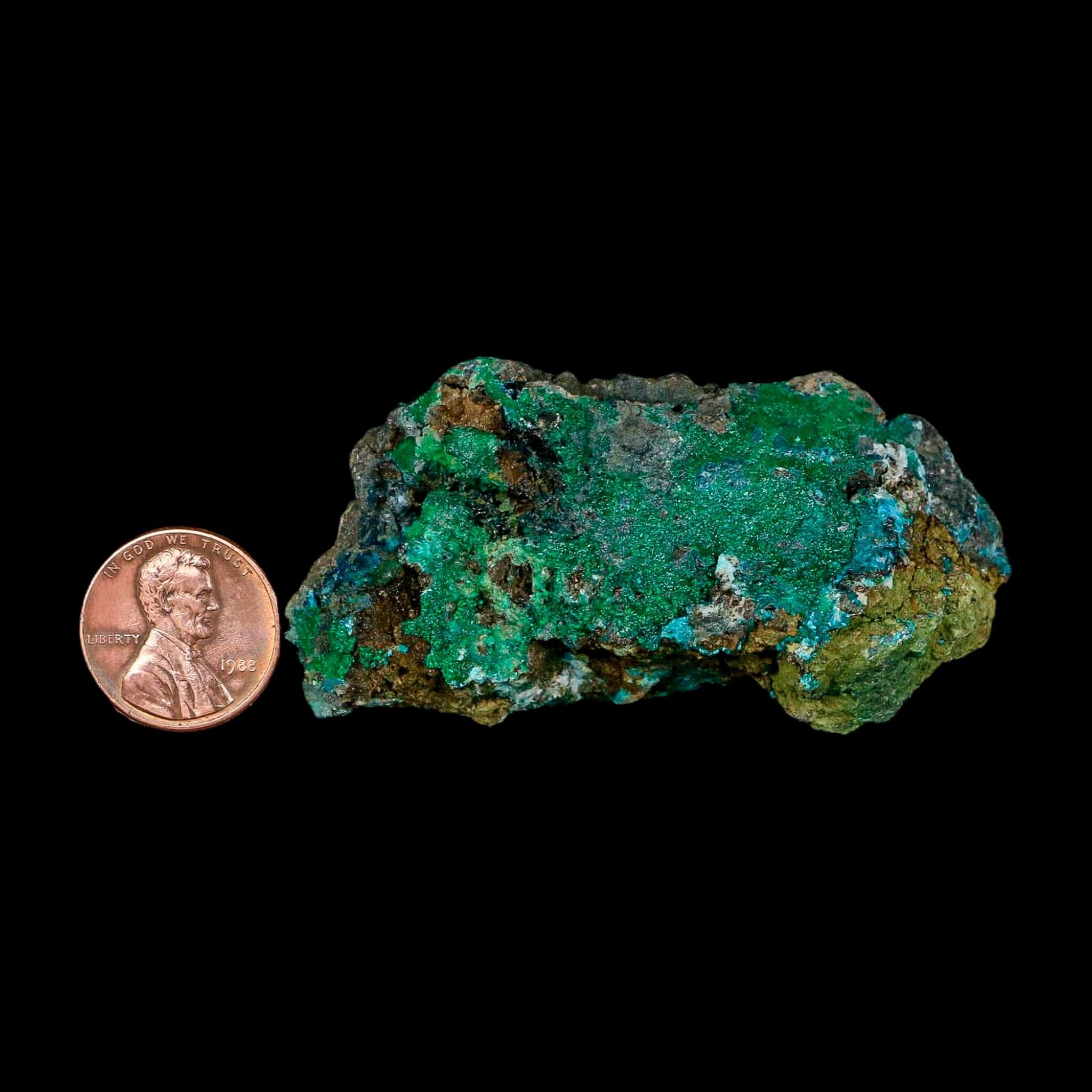 2.7" Chrysocolla And Malachite Crystal Mineral Specimen On Matrix From Peru - Fossil Age Minerals