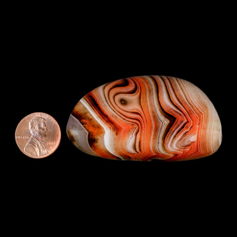 2.7" Natural Polished Red Silk Banded Agate Chalcedony Mineral Specimen - Fossil Age Minerals