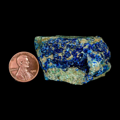 1.9" Azurite and Chrysocolla Crystal Mineral Specimen On Matrix From Peru
