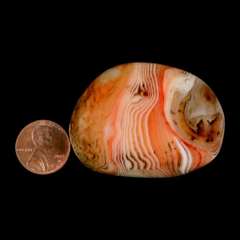 2" Natural Polished Red Silk Banded Agate Chalcedony Mineral Specimen - Fossil Age Minerals