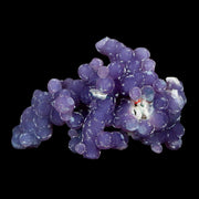 2" Purple Grape Agate Botryoidal Crystal Cluster Mineral Sulawesi Island Indonesia