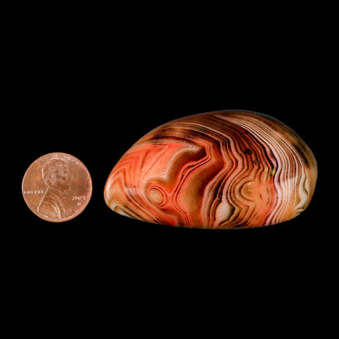2.2" Natural Polished Red Silk Banded Agate Chalcedony Mineral Specimen - Fossil Age Minerals