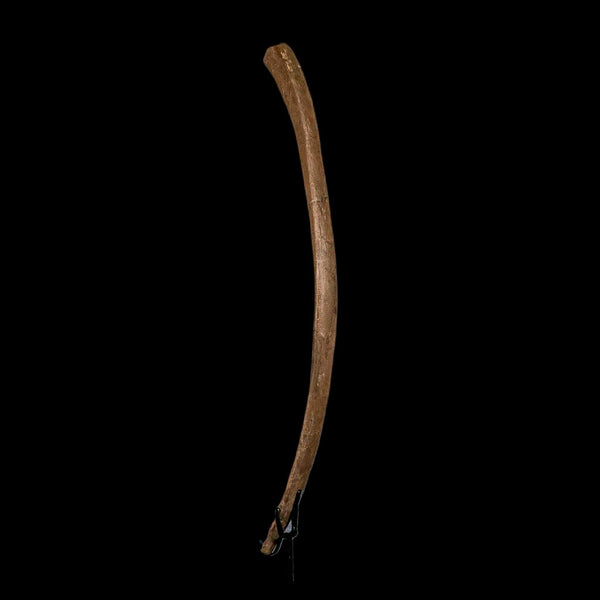 16.8