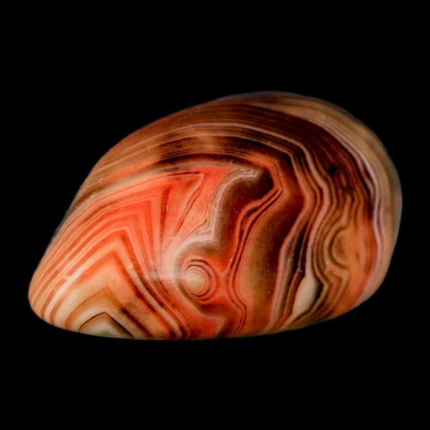 2.2" Natural Polished Red Silk Banded Agate Chalcedony Mineral Specimen - Fossil Age Minerals