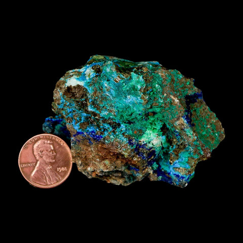 2.5" Azurite, Chrysocolla And Malachite Crystal Mineral Specimen On Matrix From Peru