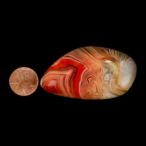 2.4" Natural Polished Red Silk Banded Agate Chalcedony Mineral Specimen - Fossil Age Minerals