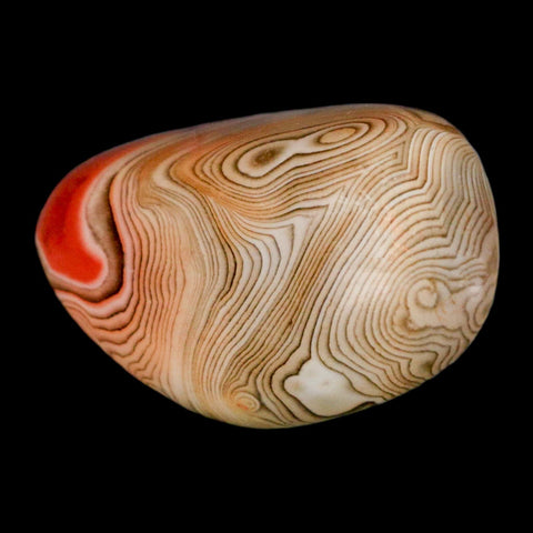 2.4" Natural Polished Red Silk Banded Agate Chalcedony Mineral Specimen - Fossil Age Minerals