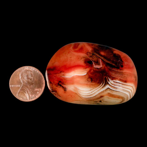 1.9" Natural Polished Red Silk Banded Agate Chalcedony Mineral Specimen - Fossil Age Minerals