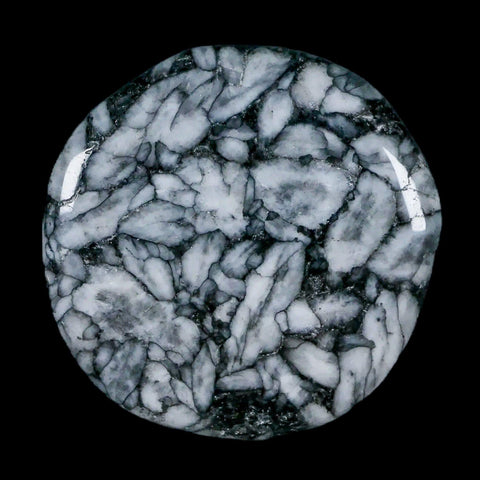 45MM Pinolite Polished Palm Stone Mineral Specimen Panolith Austria - Fossil Age Minerals