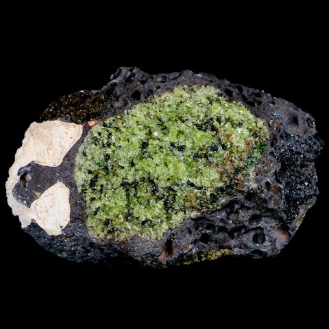 XL 4.4" Emerald Peridot Crystals, Chrome Diopside And Spinel On Volcanic Rock Gila, AZ - Fossil Age Minerals
