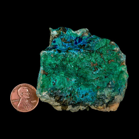 2.4" Azurite, Chrysocolla And Malachite Crystal Mineral Specimen On Matrix From Peru