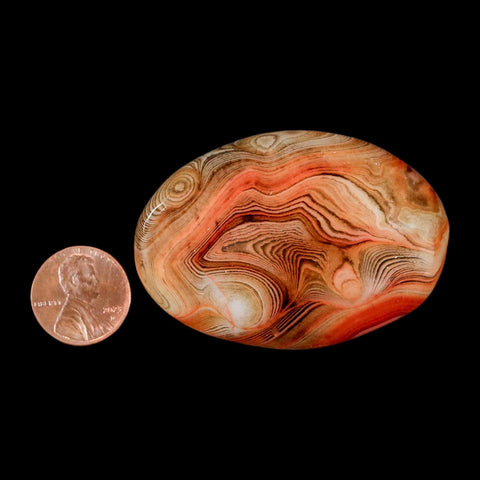 2.3" Natural Polished Red Silk Banded Agate Chalcedony Mineral Specimen - Fossil Age Minerals