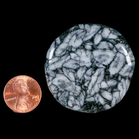 45MM Pinolite Polished Palm Stone Mineral Specimen Panolith Austria - Fossil Age Minerals