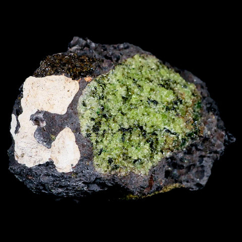 XL 4.4" Emerald Peridot Crystals, Chrome Diopside And Spinel On Volcanic Rock Gila, AZ - Fossil Age Minerals