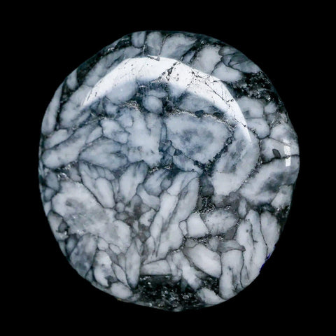 45MM Pinolite Polished Palm Stone Mineral Specimen Panolith Austria - Fossil Age Minerals