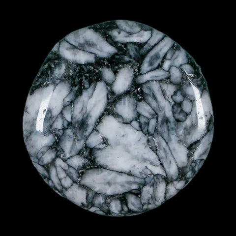 45MM Pinolite Polished Palm Stone Mineral Specimen Panolith Austria - Fossil Age Minerals