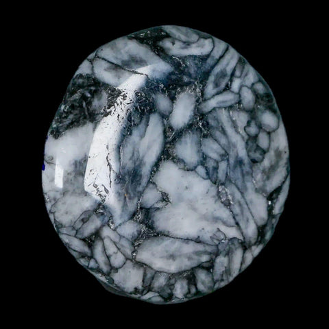 45MM Pinolite Polished Palm Stone Mineral Specimen Panolith Austria - Fossil Age Minerals