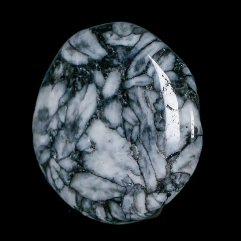 45MM Pinolite Polished Palm Stone Mineral Specimen Panolith Austria - Fossil Age Minerals