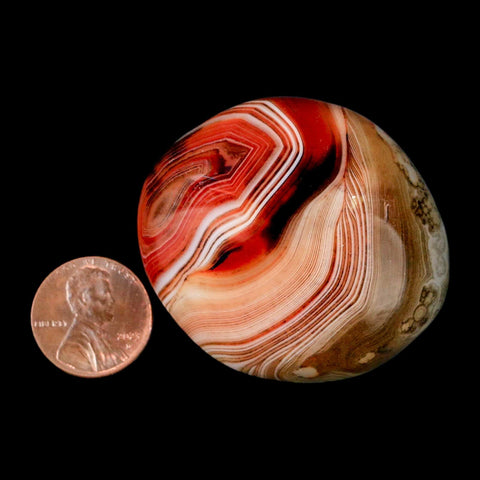 1.8" Natural Polished Red Silk Banded Agate Chalcedony Mineral Specimen - Fossil Age Minerals