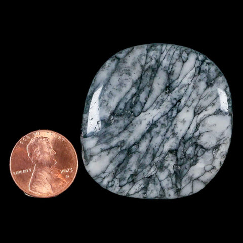 43MM Pinolite Polished Palm Stone Mineral Specimen Panolith Austria - Fossil Age Minerals
