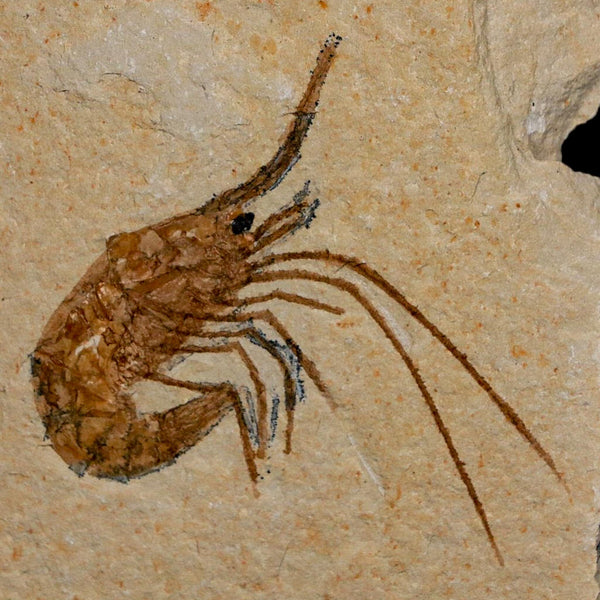 1.7