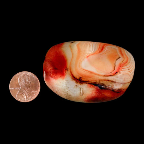 2.2" Natural Polished Red Silk Banded Agate Chalcedony Mineral Specimen - Fossil Age Minerals