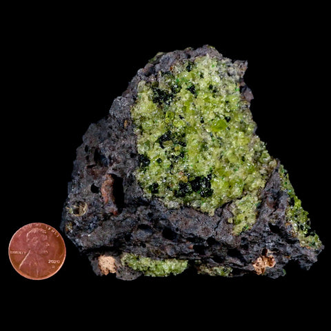 3.4 Emerald Peridot Crystals, Chrome Diopside And Spinel On Volcanic Rock Gila, AZ - Fossil Age Minerals