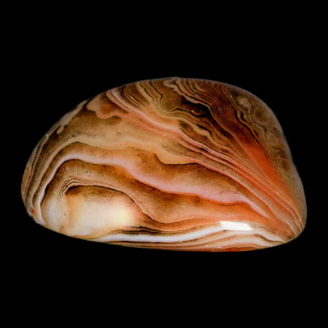 2" Natural Polished Red Silk Banded Agate Chalcedony Mineral Specimen - Fossil Age Minerals