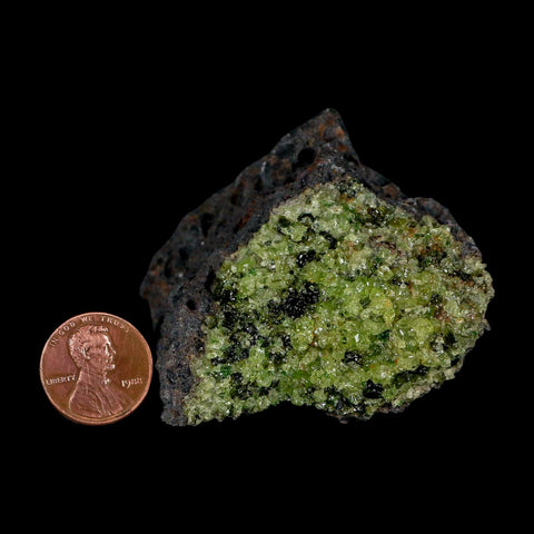 2.4" Emerald Peridot Crystals, Chrome Diopside And Spinel On Volcanic Rock Gila, AZ - Fossil Age Minerals