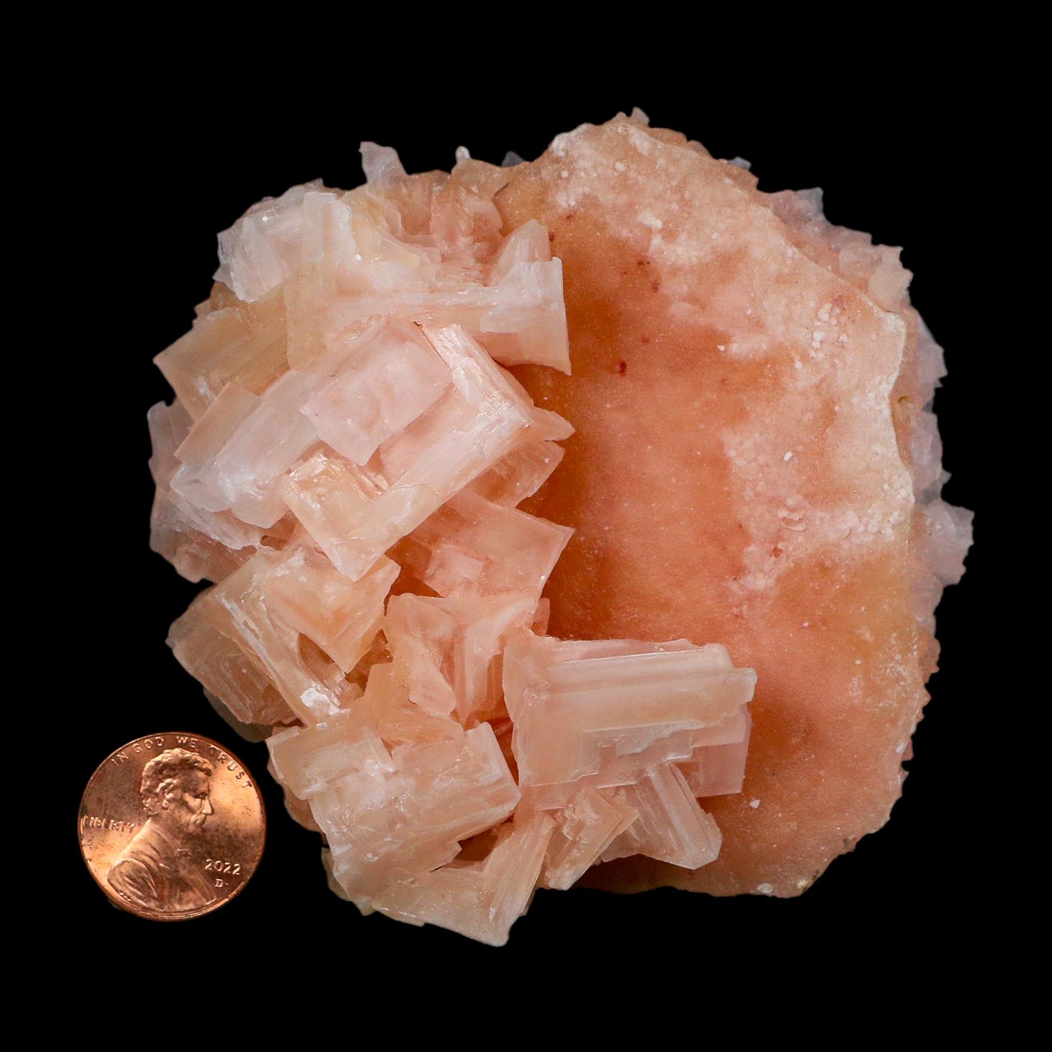 3.3" Quality Deep Pink Halite Salt Crystals Cluster Mineral Trona, CA Searles Lake