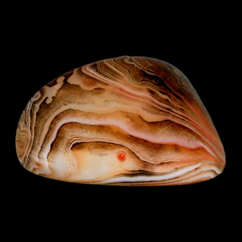 2" Natural Polished Red Silk Banded Agate Chalcedony Mineral Specimen - Fossil Age Minerals