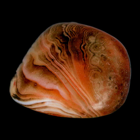 2" Natural Polished Red Silk Banded Agate Chalcedony Mineral Specimen - Fossil Age Minerals