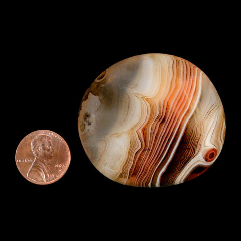 1.9" Natural Polished Red Silk Banded Agate Chalcedony Mineral Specimen - Fossil Age Minerals