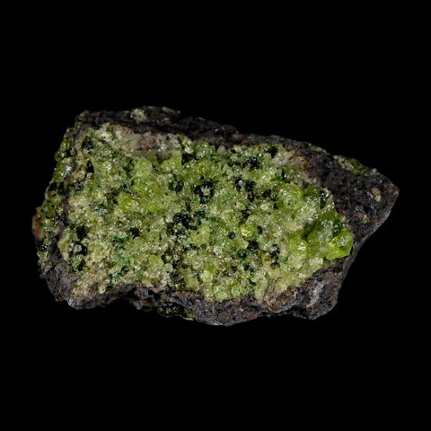 2.7" Emerald Peridot Crystals, Chrome Diopside And Spinel On Volcanic Rock Gila, AZ - Fossil Age Minerals