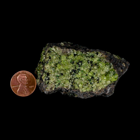 2.7" Emerald Peridot Crystals, Chrome Diopside And Spinel On Volcanic Rock Gila, AZ - Fossil Age Minerals