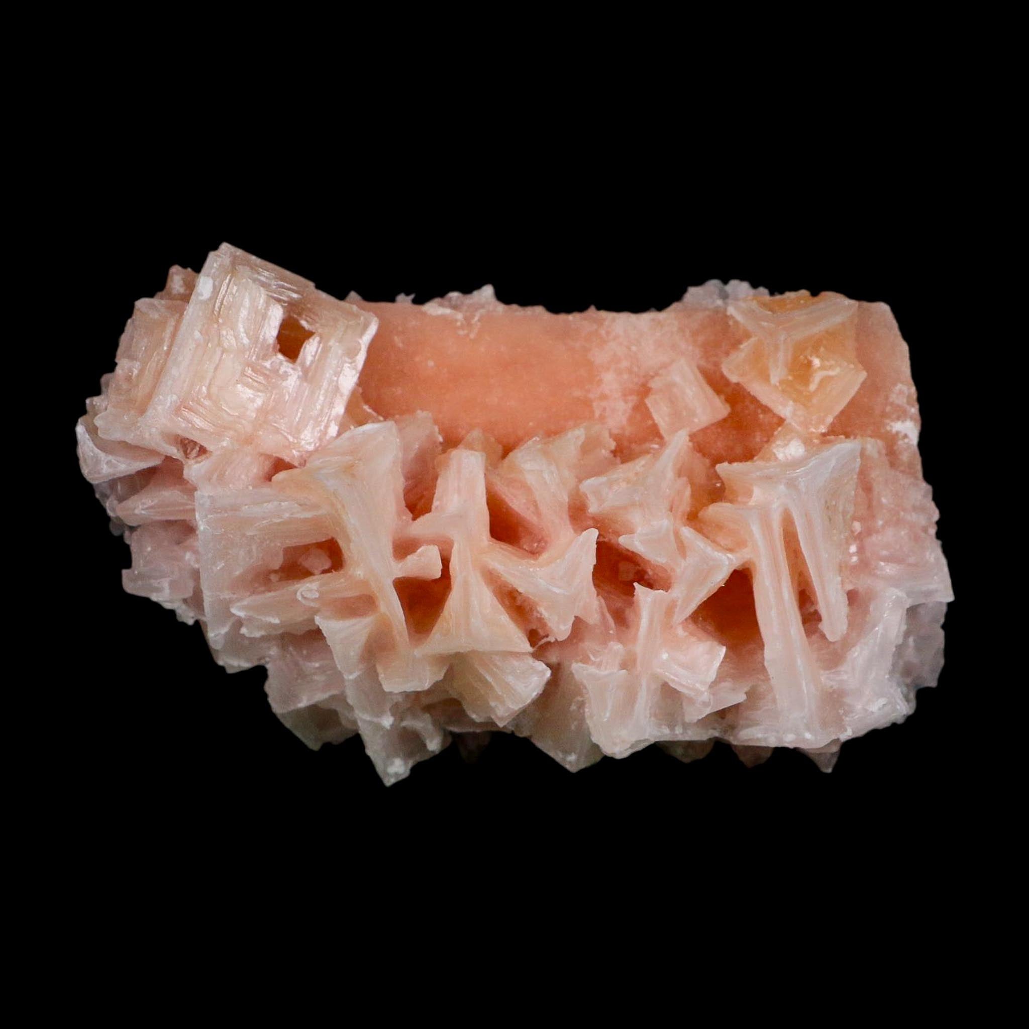 4.4" Quality Deep Pink Halite Salt Crystals Cluster Mineral Trona, CA Searles Lake