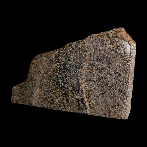 5.8" Fossil Dinosaur Gem Bone Cut Polished Slab Agatized Dinosaur Bone Morocco - Fossil Age Minerals