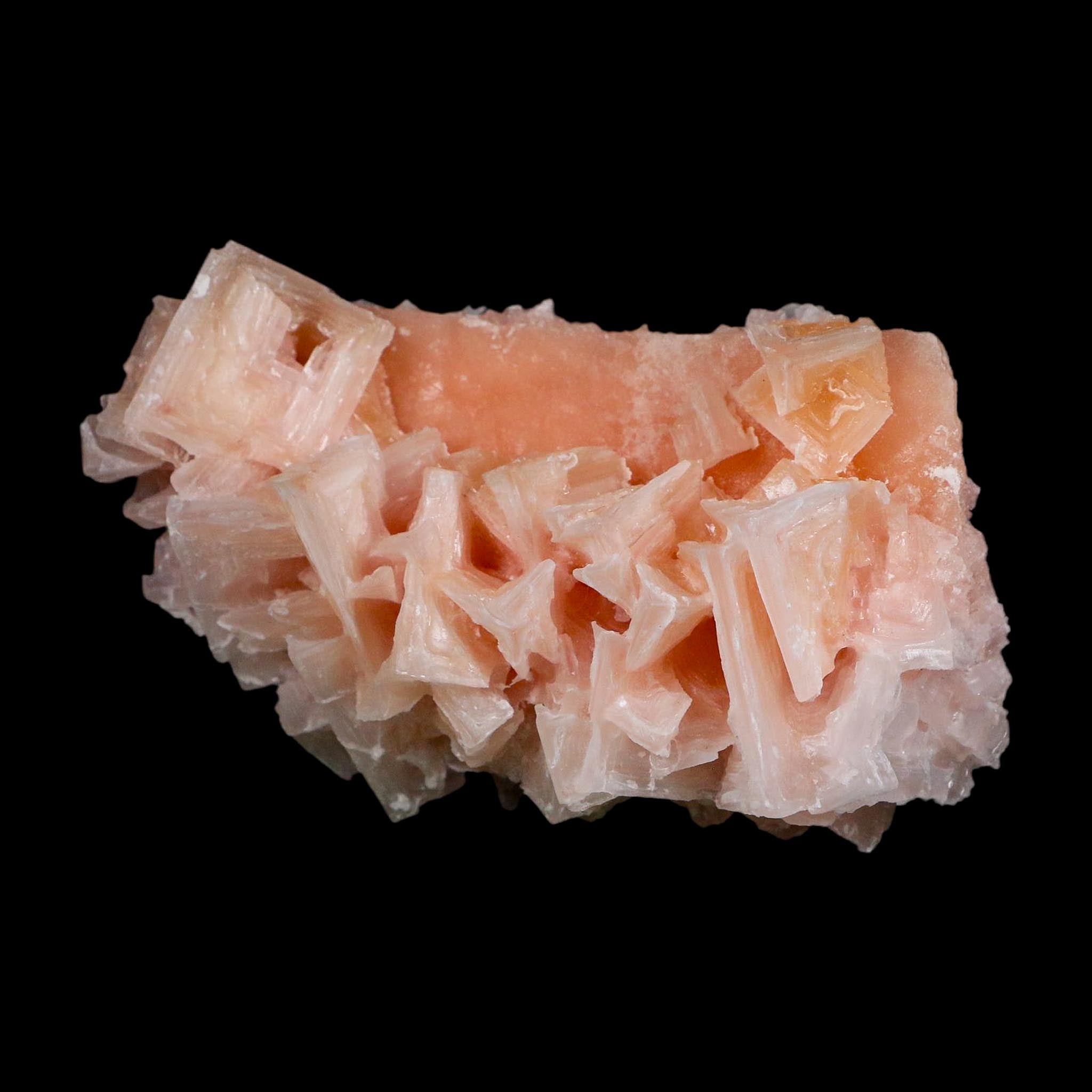 4.4" Quality Deep Pink Halite Salt Crystals Cluster Mineral Trona, CA Searles Lake