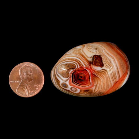 1.7" Natural Polished Red Silk Banded Agate Chalcedony Mineral Specimen - Fossil Age Minerals
