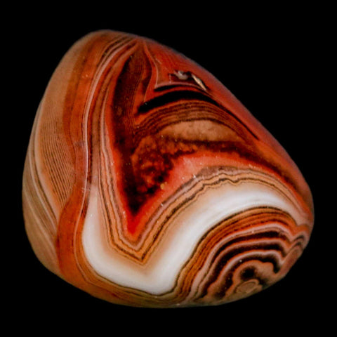 1.7" Natural Polished Red Silk Banded Agate Chalcedony Mineral Specimen - Fossil Age Minerals