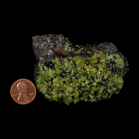 2.9" Emerald Peridot Crystals, Chrome Diopside And Spinel On Volcanic Rock Gila, AZ - Fossil Age Minerals