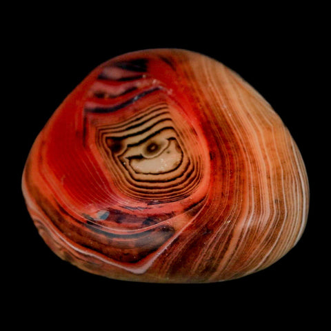 1.7" Natural Polished Red Silk Banded Agate Chalcedony Mineral Specimen - Fossil Age Minerals