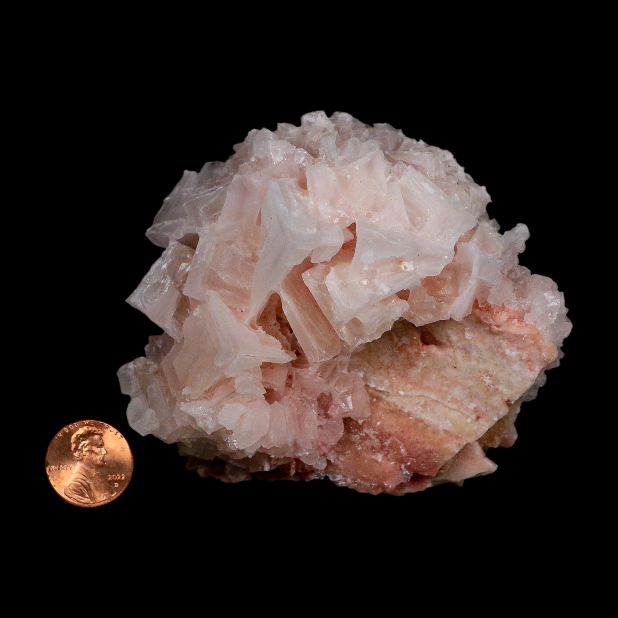 3.5" Quality Deep Pink Halite Salt Crystals Cluster Mineral Trona, CA Searles Lake