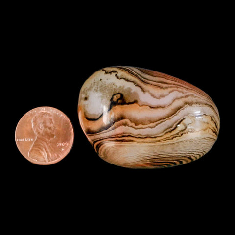 1.8" Natural Polished Red Silk Banded Agate Chalcedony Mineral Specimen - Fossil Age Minerals