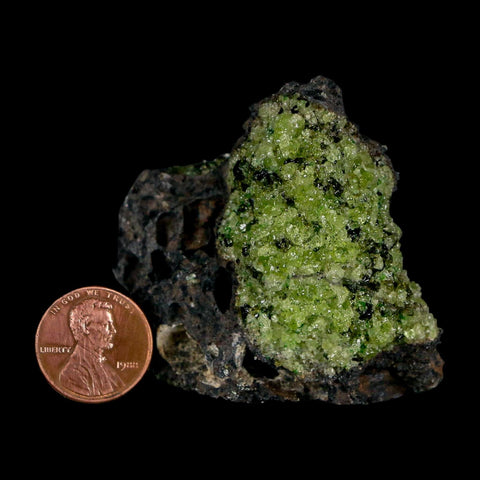 2.3" Emerald Peridot Crystals, Chrome Diopside And Spinel On Volcanic Rock Gila, AZ - Fossil Age Minerals