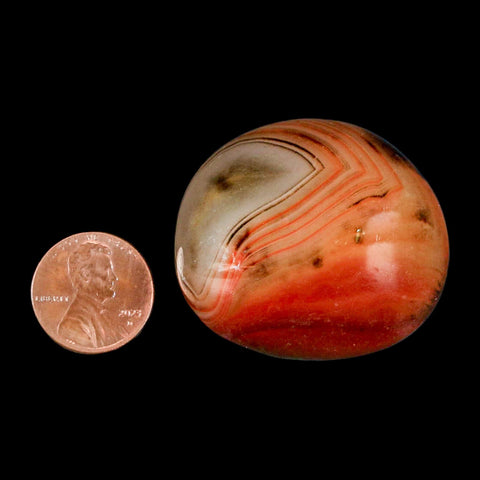 1.7" Natural Polished Red Silk Banded Agate Chalcedony Mineral Specimen - Fossil Age Minerals