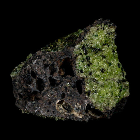 2.3" Emerald Peridot Crystals, Chrome Diopside And Spinel On Volcanic Rock Gila, AZ - Fossil Age Minerals