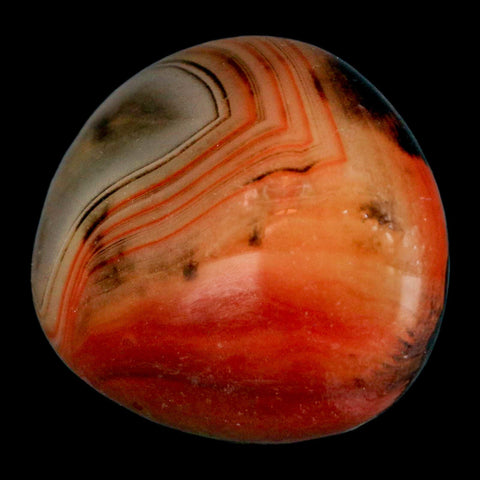 1.7" Natural Polished Red Silk Banded Agate Chalcedony Mineral Specimen - Fossil Age Minerals