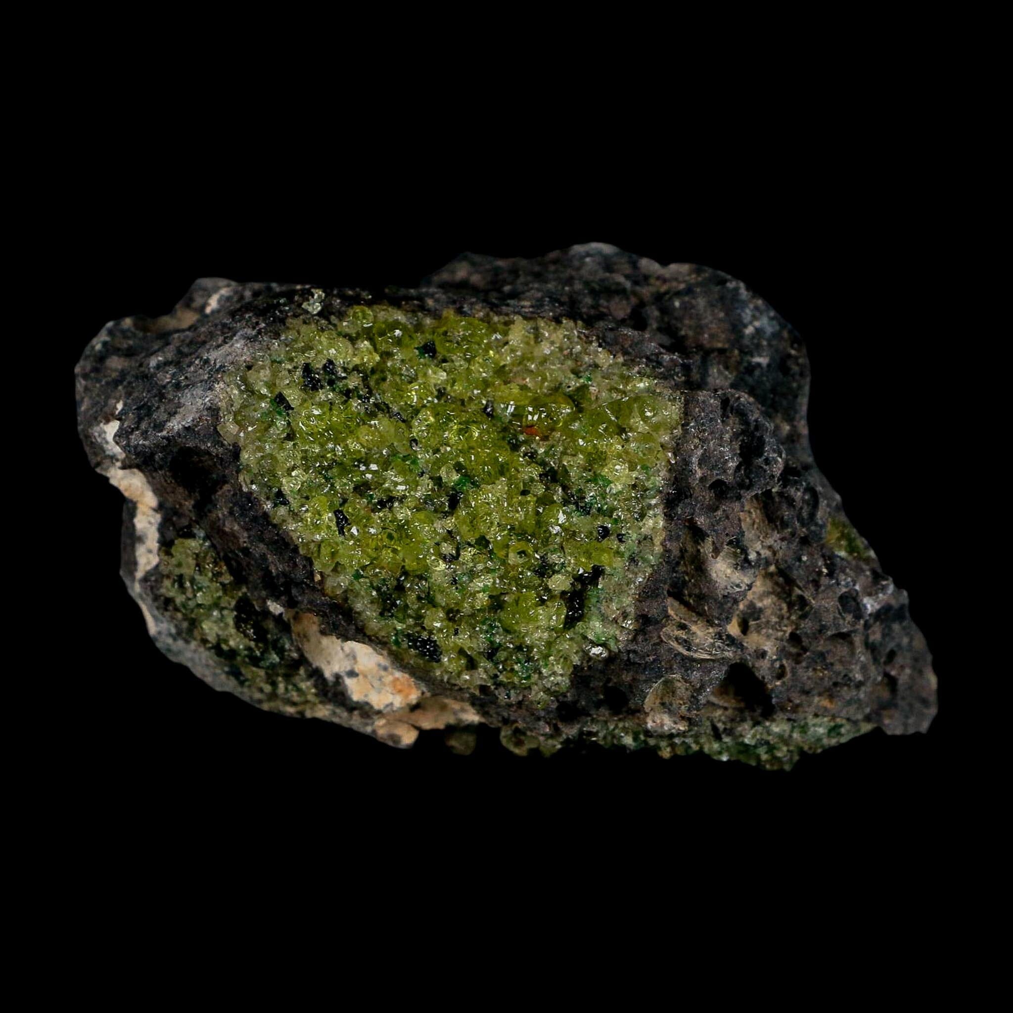 3.2" Emerald Peridot Crystals, Chrome Diopside And Spinel On Volcanic Rock Gila, AZ - Fossil Age Minerals